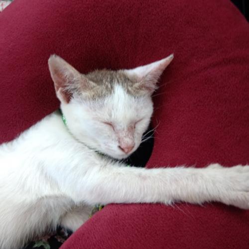 สมาชิกหมายเลข 5459762