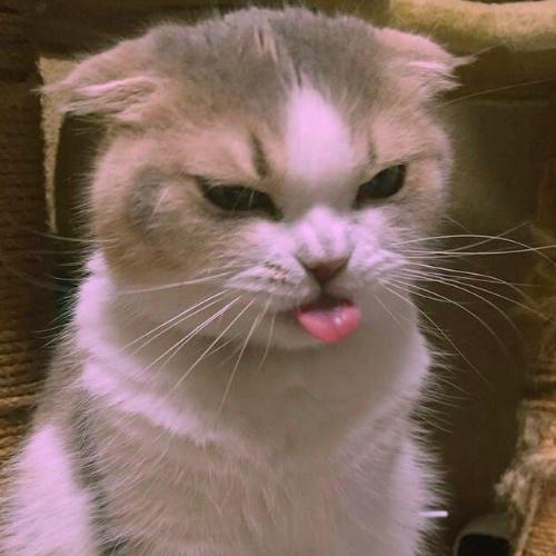 สมาชิกหมายเลข 5983549