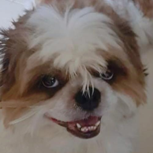 สมาชิกหมายเลข 3334028