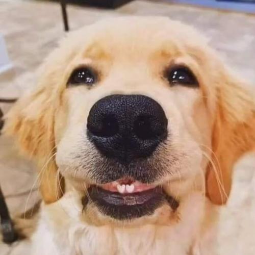 สมาชิกหมายเลข 3989763