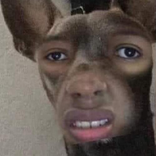 สมาชิกหมายเลข 5610969