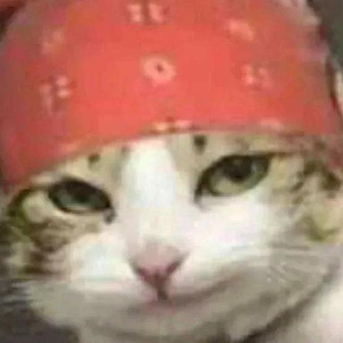 สมาชิกหมายเลข 6593140