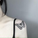 สมาชิกหมายเลข 3860003