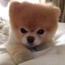 สมาชิกหมายเลข 3954982