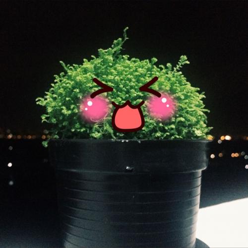 สมาชิกหมายเลข 4326873