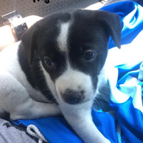 สมาชิกหมายเลข 4695359