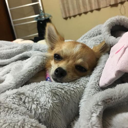 สมาชิกหมายเลข 4698270