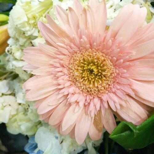 สมาชิกหมายเลข 4664338