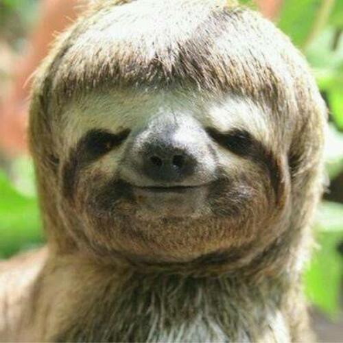 สมาชิกหมายเลข 4855426