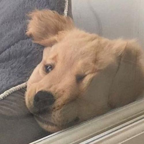 สมาชิกหมายเลข 5067085