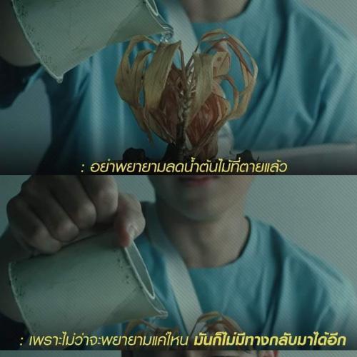 สมาชิกหมายเลข 1590781