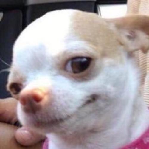 สมาชิกหมายเลข 4468727