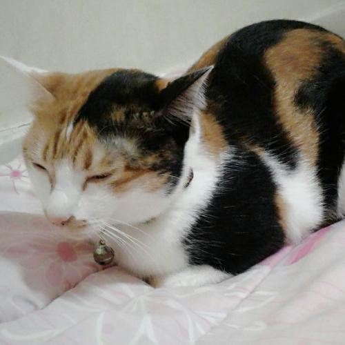 สมาชิกหมายเลข 5367923