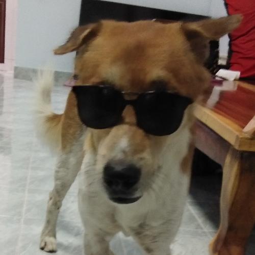 สมาชิกหมายเลข 5460189