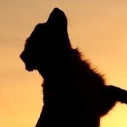 สมาชิกหมายเลข 4496690