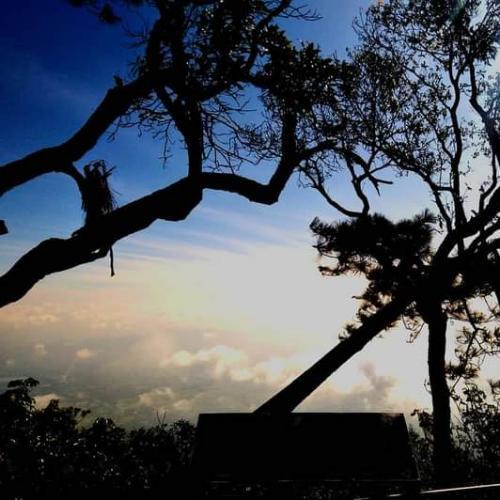 สมาชิกหมายเลข 1692395