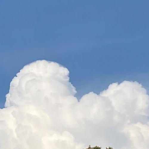 สมาชิกหมายเลข 6495366