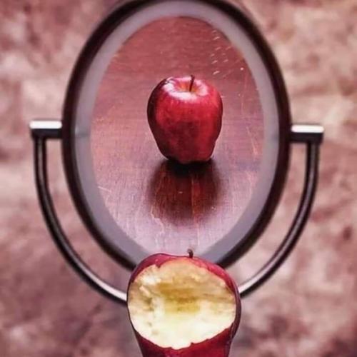 สมาชิกหมายเลข 8170620