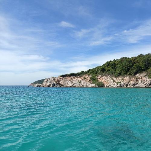 สมาชิกหมายเลข 8187057