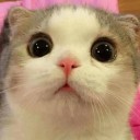 สมาชิกหมายเลข 3799537