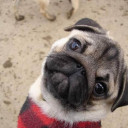 สมาชิกหมายเลข 3918662