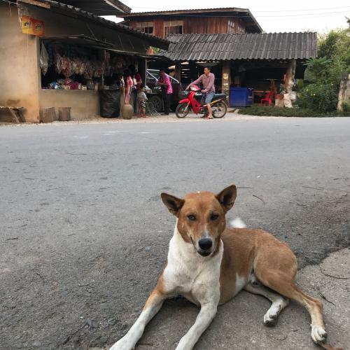 สมาชิกหมายเลข 2014447