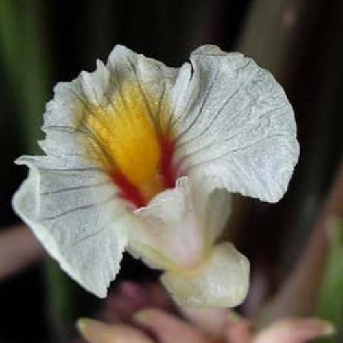 สมาชิกหมายเลข 3064682