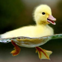 สมาชิกหมายเลข 4026350