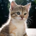 สมาชิกหมายเลข 1860737