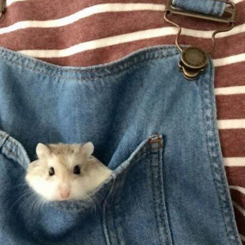 สมาชิกหมายเลข 5167298