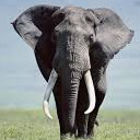 สมาชิกหมายเลข 5412958