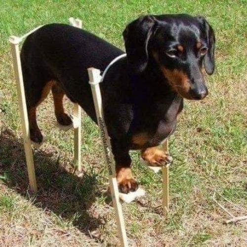 ก็สะดวกแบบนี้