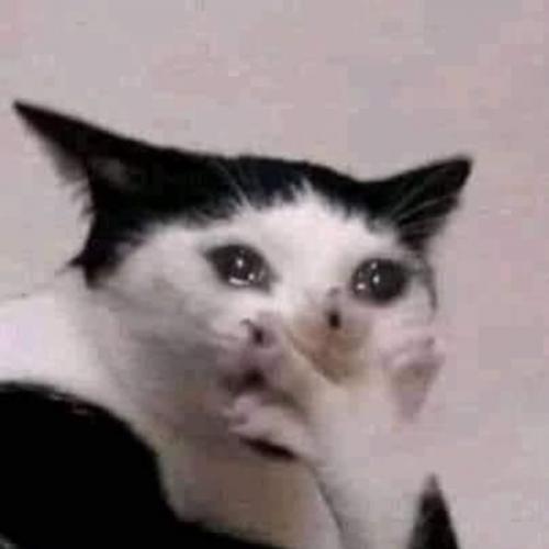 สมาชิกหมายเลข 5391795