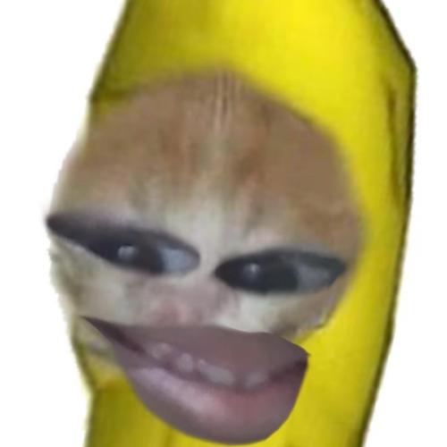 สมาชิกหมายเลข 7331090