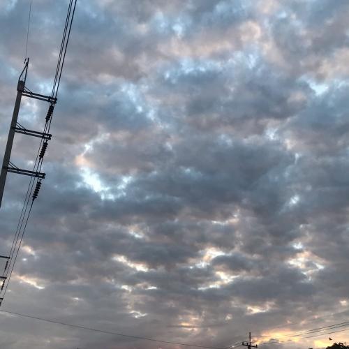 สมาชิกหมายเลข 5067702