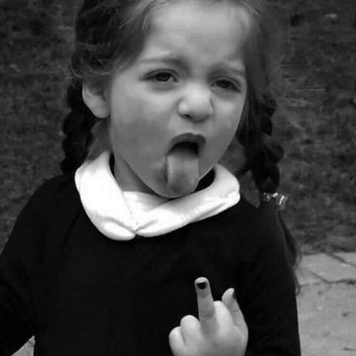 สมาชิกหมายเลข 5041358