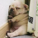 สมาชิกหมายเลข 5460829