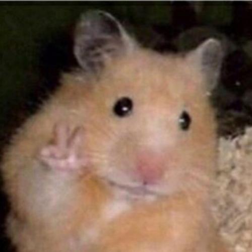 สมาชิกหมายเลข 6595075