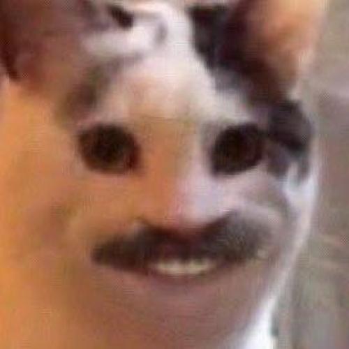 สมาชิกหมายเลข 5706440