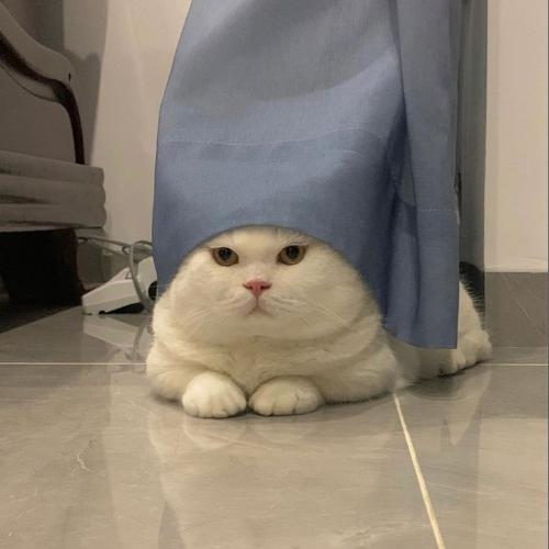 สมาชิกหมายเลข 7331382