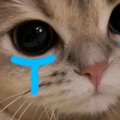 สมาชิกหมายเลข 8012442