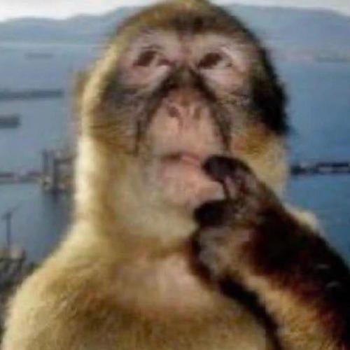 สมาชิกหมายเลข 3903576