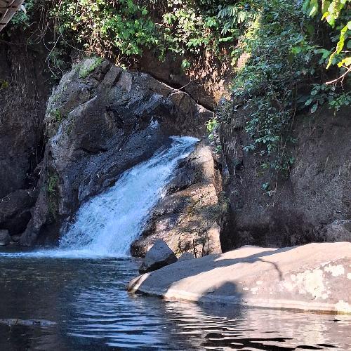 สมาชิกหมายเลข 5314788