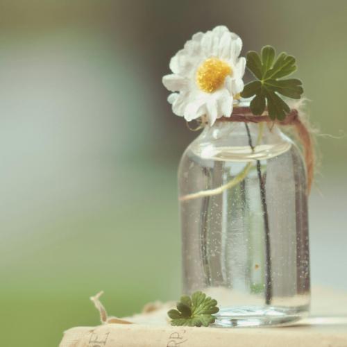 สมาชิกหมายเลข 5442918