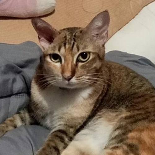 สมาชิกหมายเลข 6399563