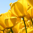 สมาชิกหมายเลข 4149843