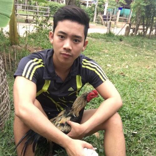 สมาชิกหมายเลข 4698161