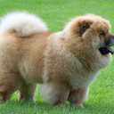 สมาชิกหมายเลข 4700179