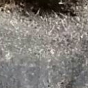 สมาชิกหมายเลข 5068080