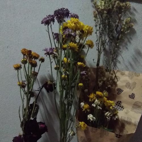 สมาชิกหมายเลข 5459444